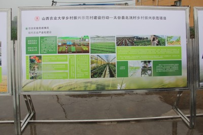 園藝學院春菜品種展示交流會 科技賦能農業，創新引領未來