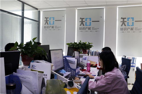 知識產權的春天——論代理機構的責任與擔當